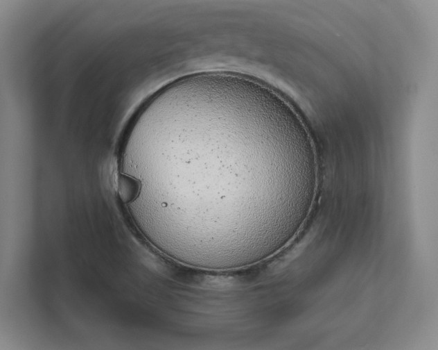 X0000111941509200908031128