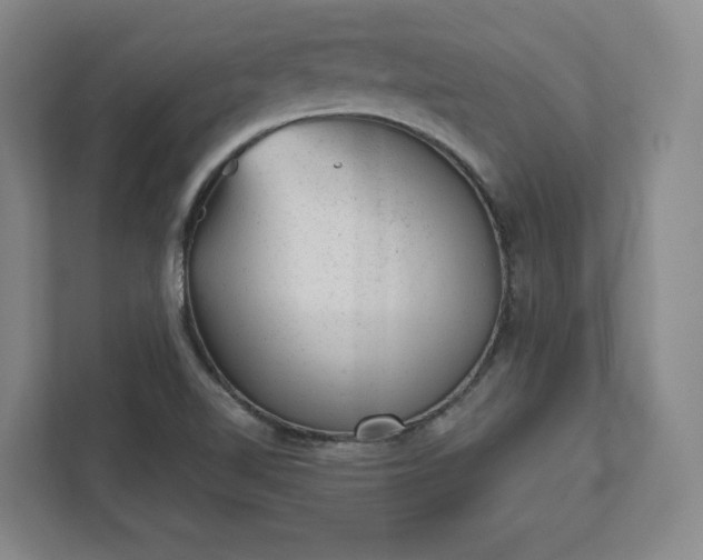 X0000111941510200908031128