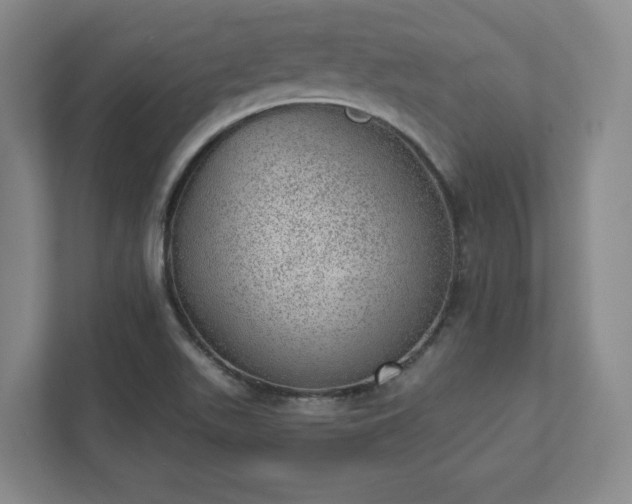 X0000111941511200908031128