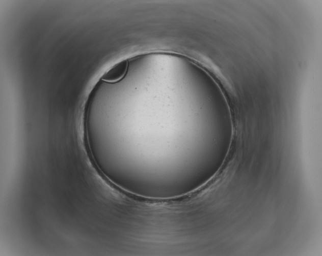 X0000111941512200908031128