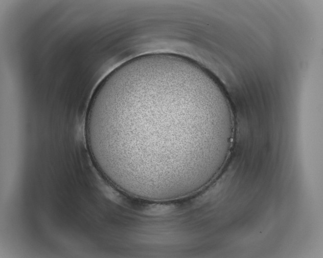 X0000111941513200908031128