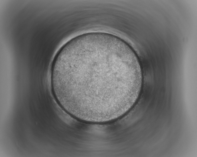 X0000111941514200908031128