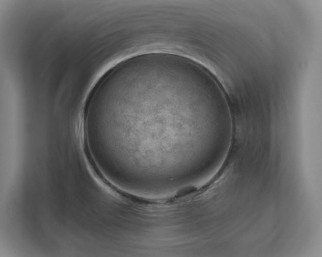 X0000111941515200908031128