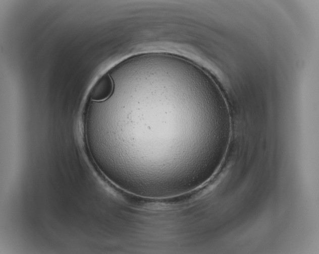 X0000111941517200908031128