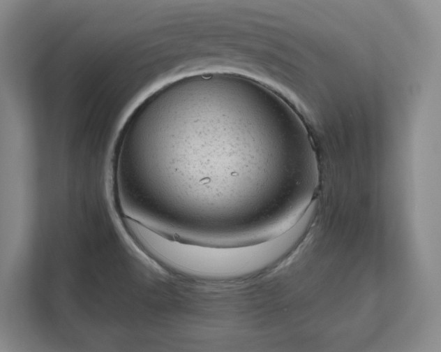 X0000111941518200908031128