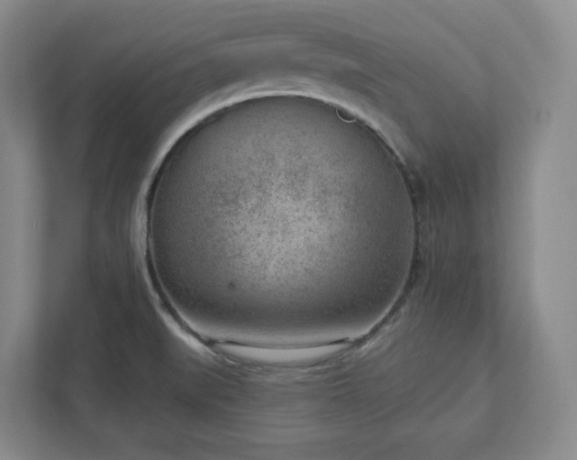 X0000111941519200908031128