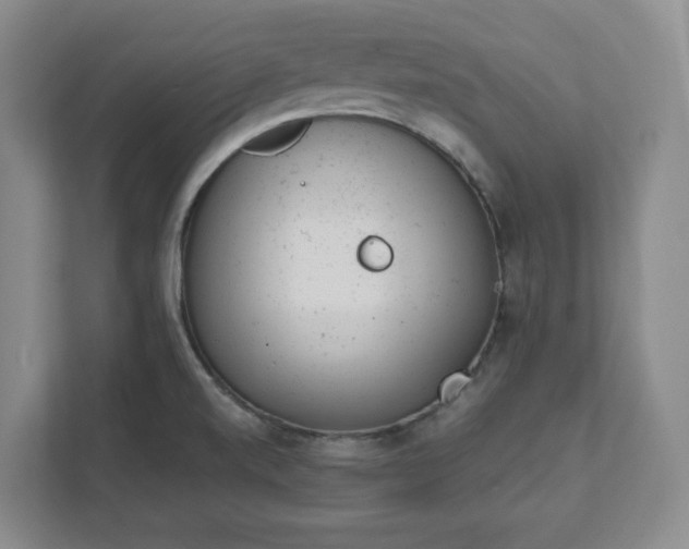 X0000111941520200908031128