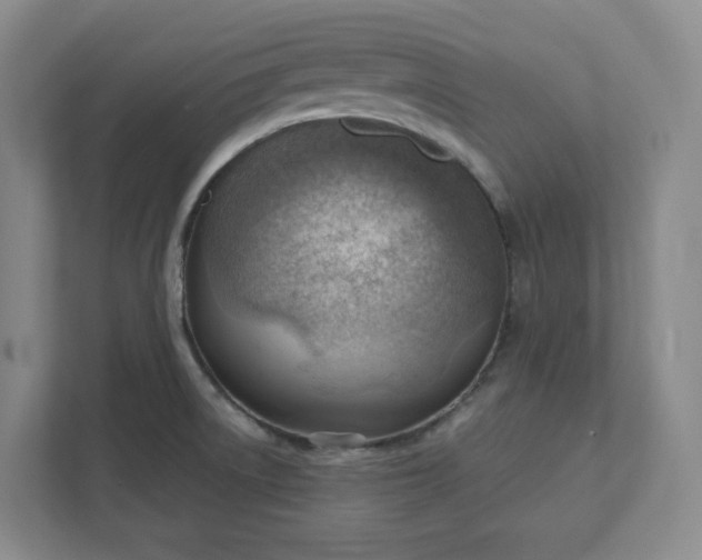 X0000111941522200908031128