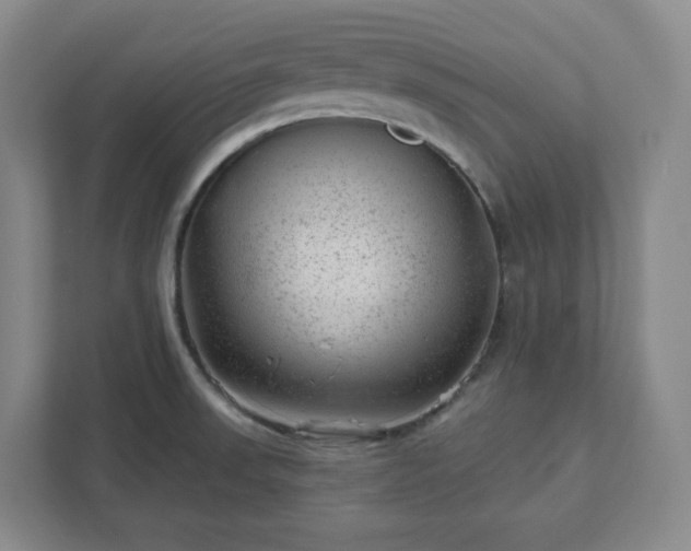 X0000111941523200908031128