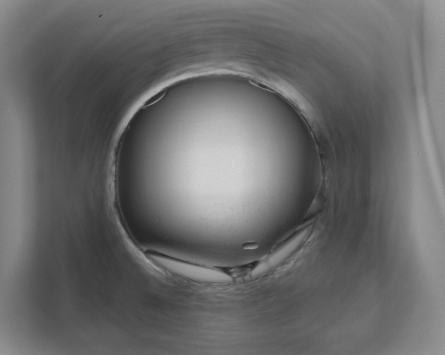 X0000111941524200908031128