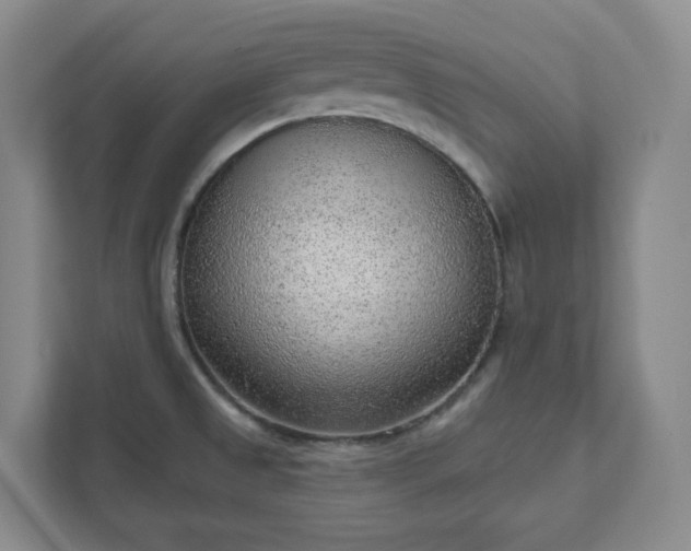 X0000111941525200908031128