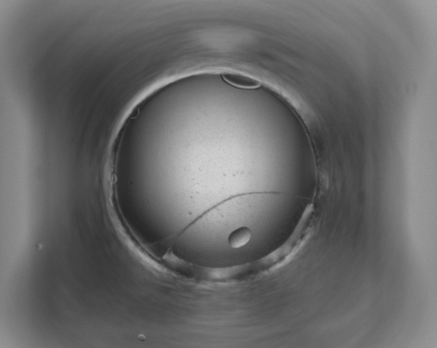 X0000111941526200908031128