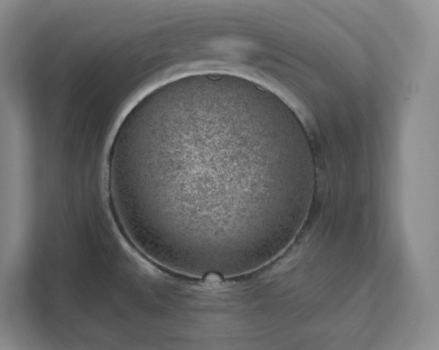 X0000111941527200908031128