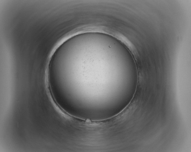 X0000111941528200908031128