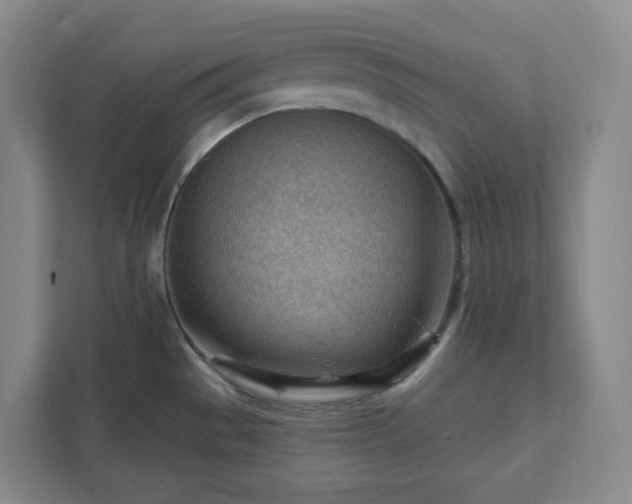 X0000111941529200908031128