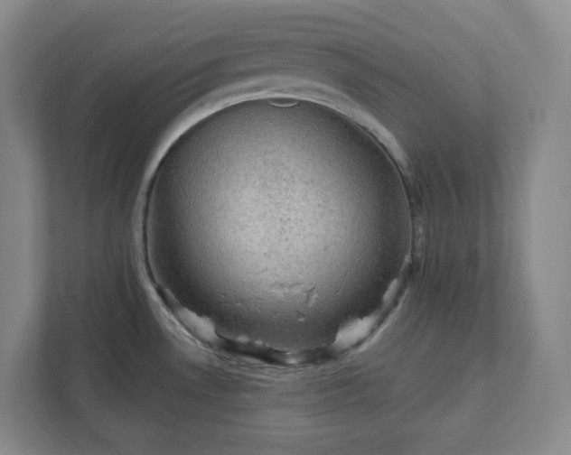 X0000111941530200908031128