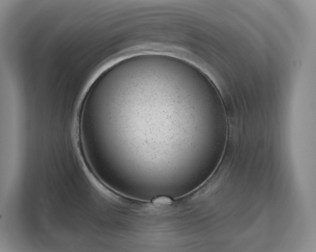 X0000111941531200908031128