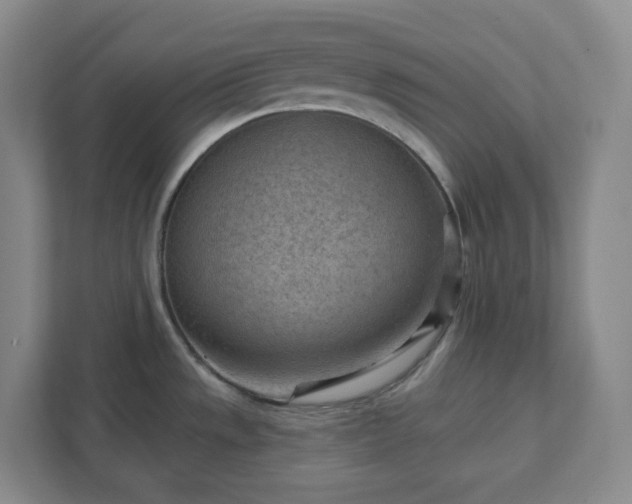 X0000111941533200908031128