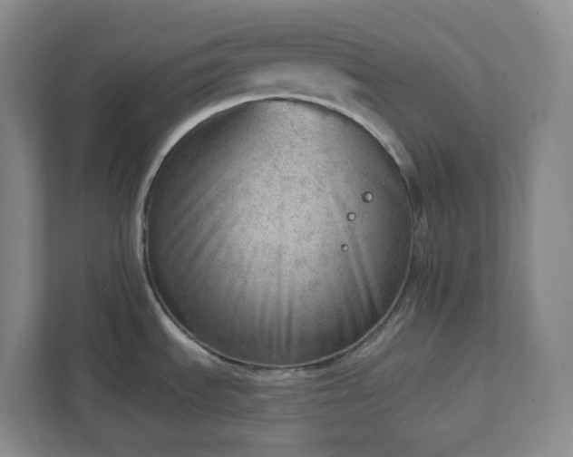 X0000111941535200908031128