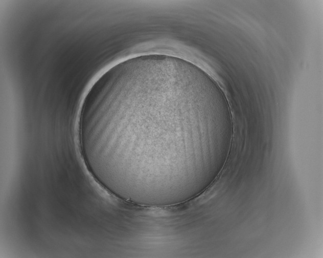 X0000111941536200908031128