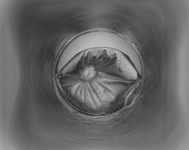 X0000111940001200908101211