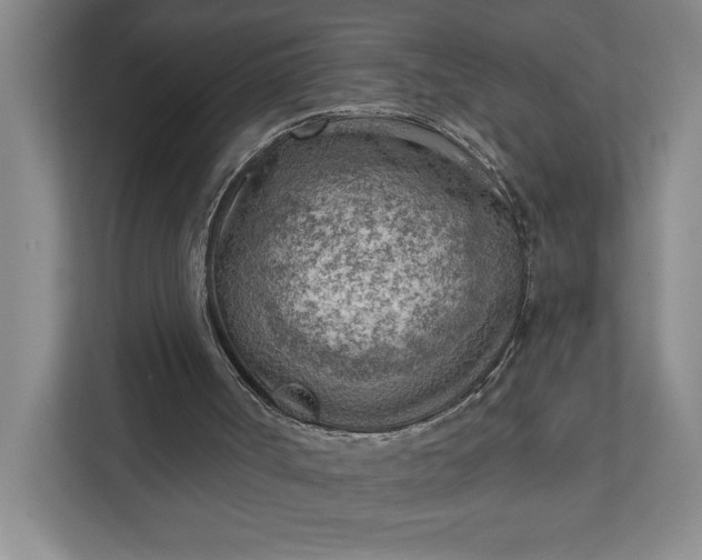 X0000111940002200908101211