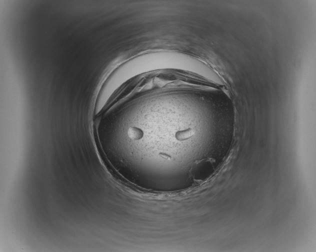 X0000111940003200908101211