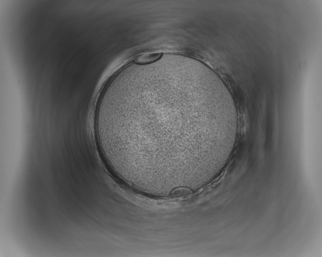 X0000111940004200908101211