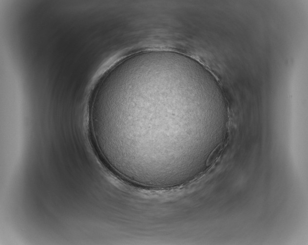 X0000111940005200908101211