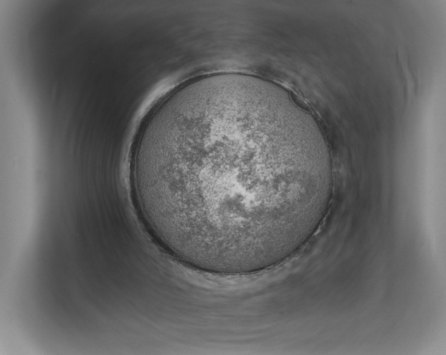 X0000111940006200908101211