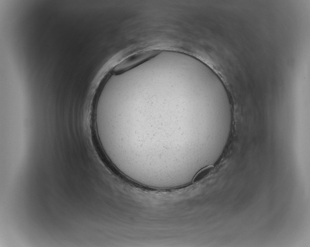 X0000111940007200908101211