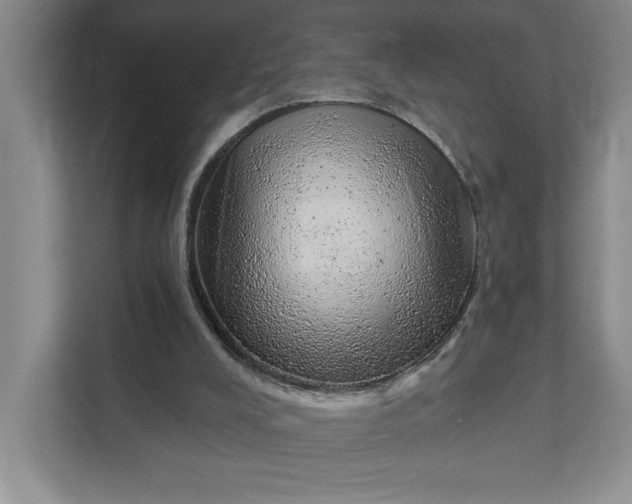 X0000111940008200908101211