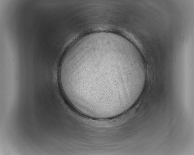 X0000111940010200908101211