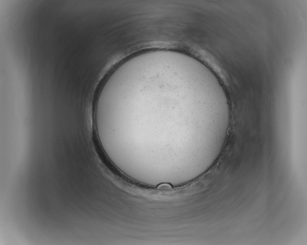 X0000111940011200908101211