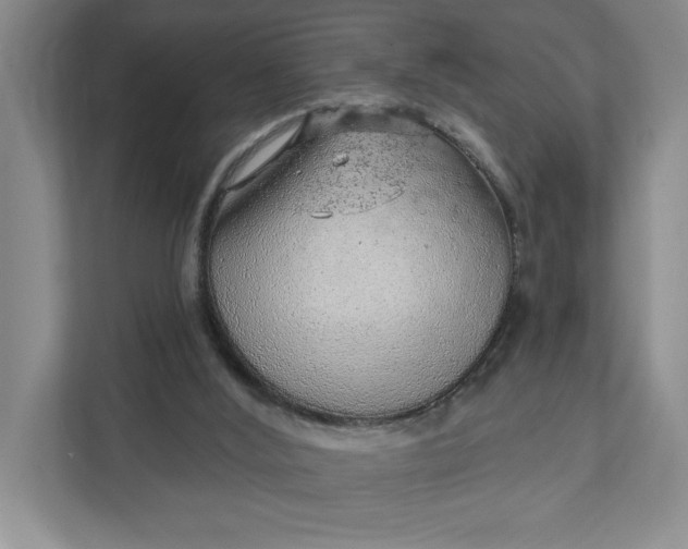 X0000111940012200908101211