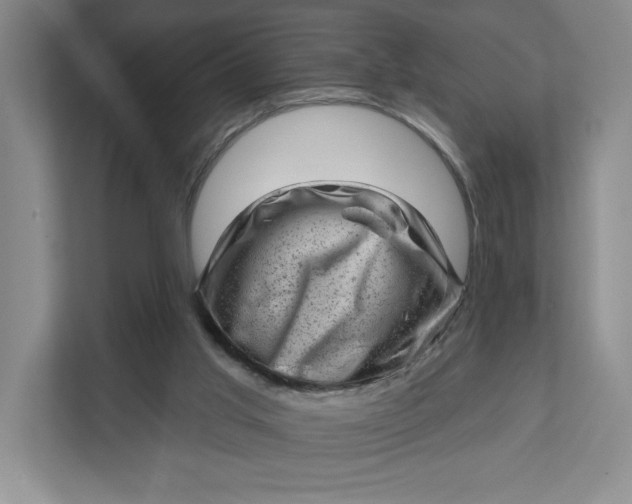 X0000111940013200908101211