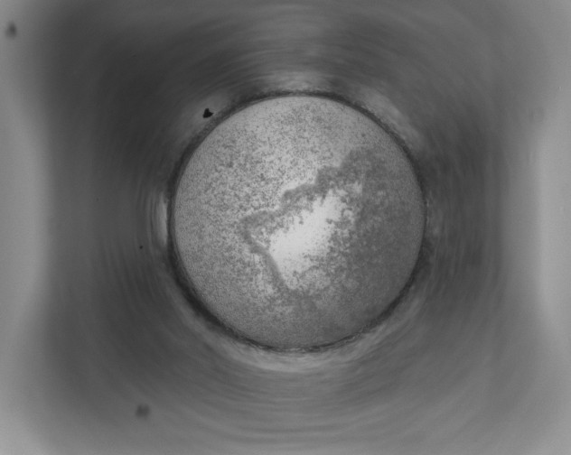 X0000111940014200908101211