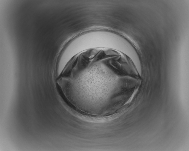 X0000111940015200908101211