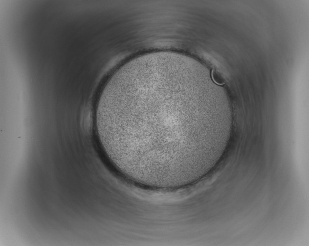 X0000111940016200908101211