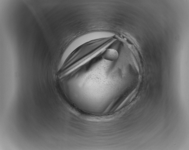 X0000111940017200908101211