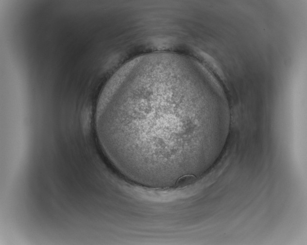 X0000111940018200908101211