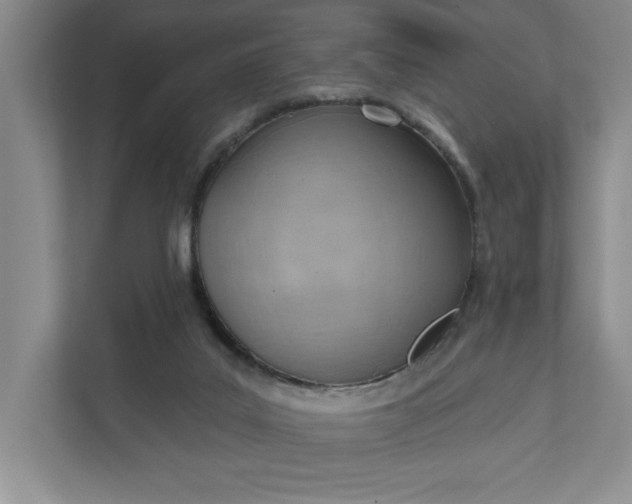 X0000111940019200908101211