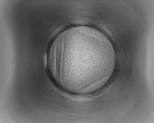 X0000111940020200908101211