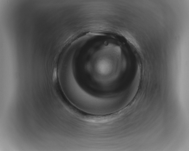 X0000111940021200908101211