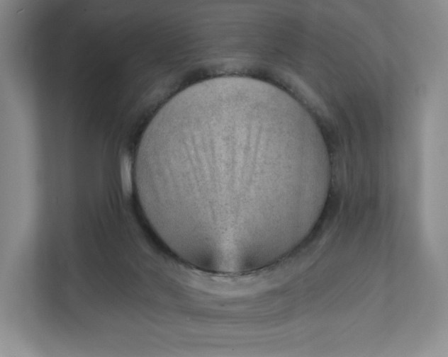 X0000111940022200908101211