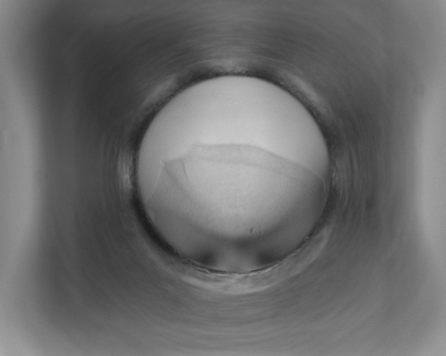 X0000111940023200908101211