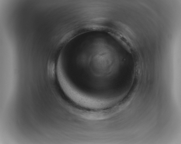 X0000111940024200908101211