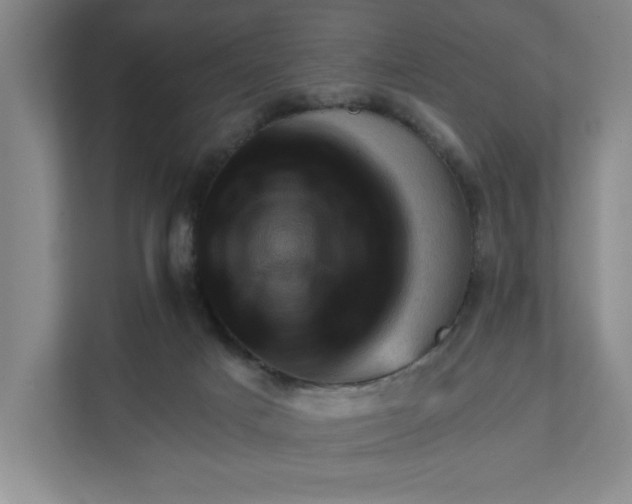 X0000111940025200908101211