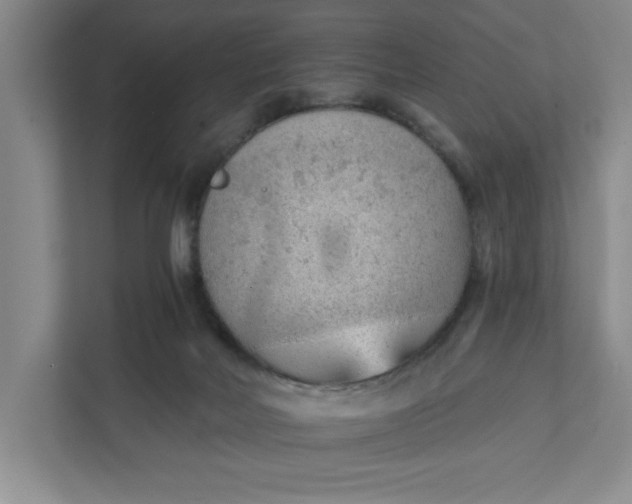 X0000111940026200908101211