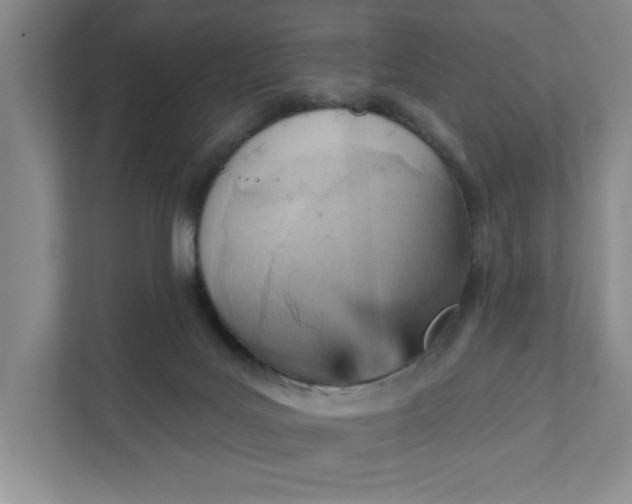 X0000111940027200908101211